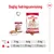 Daglig fodringsanvisning for Royal Canin Medium Adult: 11 kg hund – 1 dåse + 69 g tørfoder, 16 kg – 1 dåse + 125 g, 25 kg – 1 dåse + 217 g. Billede af våd- og tørfoder.