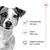 Mantenimento del peso, salute delle ossa, supporto ottimale per la salute: tre benefici illustrati con icone accanto a un cane. Marchio Royal Canin in alto a destra.