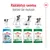 Royal Canin -koiranruokapakkaukset eri ikäisille: Puppy 2–10 kk, Mini Adult 10 kk–8 v, Mini Adult 8+ 8–12 v, Mini Ageing 12+ yli 12 v. Teksti: Räätälöityä ravintoa koirasi iän mukaan.