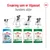 Royal Canin Mini Ageing +12