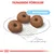 Royal Canin Giant Starter Mother & Babydog Royal Canin Giant Starter Mother & Babydog