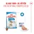 Royal Canin Starter Mother & Babydog Ultra Soft Mousse Royal Canin Starter Mother & Babydog Ultra Soft Mousse