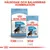 Royal Canin Puppy Maxi 26–44 kg, torrfoder och bitar i sås. Text: Hälsosam och balanserad kombination. Förpackningar med hundbild och produktnamn synliga.