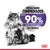 Royal Canin Appetite Control Care ração para gatos