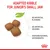 Adapted kibble for junior’s small jaw. No artificial flavours, no artificial colours, contains natural antioxidants.