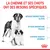La chienne et ses chiots ont des besoins spécifiques : besoins énergétiques élevés, système immunitaire fragile, système digestif sensible. Marque Royal Canin visible.