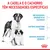 A cadela e o cachorro têm necessidades específicas: necessidades energéticas elevadas, sistema imunitário frágil, sistema digestivo sensível.