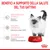 Benefici a supporto della salute del tuo gattino: difese naturali ottimali, sviluppo cerebrale, supporto del microbioma. Royal Canin. Vitamine, antiossidanti, omega-3 (DHA), prebiotici.