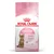 Confezione Royal Canin Kitten Sterilised 6–12 months, immagine di un gattino, testo visibile: strong immune system, growth & weight control, con simboli e grafici.