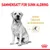 Royal Canin Labrador Retriever Adult 5+