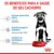 Os benefícios para a saúde do seu cachorro: sistema imunitário forte, desenvolvimento cerebral, suporte ao microbioma. Royal Canin. Texto em português.