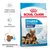 ROYAL CANIN STARTER Mother & Babydog MAXI 1–2 months, podpora zdraví matky a štěněte, silný imunitní systém, rehydratovatelné granule, balení s obrázkem feny a dvou štěňat.