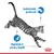 Product features highlighted: instinctively preferred and supports digestive and urinary health.