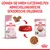 Royal Canin Kitten bis 12 Monate. Abwechslungsreiche sensorische Erlebnisse mit Trocken- und Nassfutter für Katzenwelpen. Verpackungen und Futterschale abgebildet.