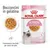 Royal Canin Kitten bocconcini in gelatina, 85 g x12, per gattini fino a 12 mesi. Consistenza morbida per denti da latte. Immagine del prodotto e crocchette in gelatina. Royal Canin Kitten bocconcini in gelatina, 85 g x12, per gattini fino a 12 mesi. Consistenza morbida per denti da latte. Immagine del prodotto e crocchette in gelatina.