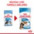 Nouveau look, formule améliorée. Deux sachets Royal Canin Puppy Maxi 140 g pour chiens 26–44 kg, ancien et nouveau design, visible : 2–15 months/mois, en sauce, sans conservateurs.