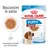 Royal Canin Puppy Medium 2-12 months, bocconcini in salsa, confezione da 10 x 140 g, consistenza morbida per denti da latte, immagine di cucciolo e ciotola con bocconcini.
