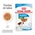 Royal Canin Puppy Mini 2-10 months, 85 g x12. Trocitos en salsa, textura suave para los dientes de leche. Imagen del producto y cuenco con comida húmeda para cachorros. Royal Canin Puppy Mini 2-10 months, 85 g x12. Trocitos en salsa, textura suave para los dientes de leche. Imagen del producto y cuenco con comida húmeda para cachorros.