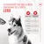 Royal Canin Joint & Ageing Adult Chews - kosttilskudd