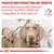 Texte en allemand : Fragen Sie Ihren Tierarzt oder Ihre Tierärztin welche Nahrung aus dem Veterinär-Sortiment von ROYAL CANIN die richtige Wahl für Ihren Hund ist. VETERINARY NUTRITION