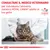CONSULTARE IL MEDICO VETERINARIO per individuare l’alimento dietetico ROYAL CANIN adatto al tuo gatto. VETERINARY NUTRITION. Immagine di un veterinario con un gatto.