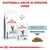 Royal Canin Veterinary Skin & Coat per gatti, disponibile anche in versione umida. Confezione secca e bustina umida visibili, testo: SKIN & COAT, bocconcini in salsa.