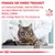 Fragen Sie Ihren Tierarzt, welche Nahrung aus dem Veterinär-Sortiment von Royal Canin die richtige Wahl für Ihre Katze ist. Veterinary Nutrition Logo sichtbar.