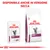 Royal Canin Veterinary Renal per gatti, confezione umido e secco. Testo visibile: DISPONIBILE ANCHE IN VERSIONE SECCA.