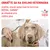 OBRÁŤTE SA NA SVOJHO VETERINÁRA, zistite, ktoré veterinárne krmivo ROYAL CANIN je vhodné pre vášho psa. VETERINARY NUTRITION. Veterinár vyšetruje psa stetoskopom.