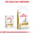 Royal Canin URINARY S/O vådfoder og tørfoder til hund, tekst: Fås også som tørfoder. Begge emballager viser en hundetegning og mærket VETERINARY NUTRITION.
