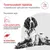Royal Canin Veterinary Canine Glycobalance