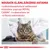 Noudatettava eläinlääkärin antamia ruokintasuosituksia valittaessa kissalle ROYAL CANIN -ruokavaliota tai erikoisruokavaliota. Kuvassa kissa ja eläinlääkäri.
