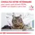 Texte : Consultez votre vétérinaire pour savoir quel aliment ROYAL CANIN® est adapté à votre chat. VETERINARY NUTRITION. Chat sur une table d’examen avec un vétérinaire en blouse blanche.