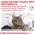 Fragen Sie Ihren Tierarzt oder Ihre Tierärztin, welche Nahrung aus dem Veterinär-Sortiment von Royal Canin die richtige Wahl für Ihre Katze ist. Veterinary Nutrition Logo sichtbar.