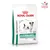 Royal Canin Veterinary Canine Glycobalance Small Dog Royal Canin Veterinary Canine Glycobalance Small Dog