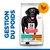 Hill's Science Plan Perfect Weight & Active Mobility pour chien adulte, gestion du poids, avec poulet, grand sac affichant un labrador noir. Texte visible : 'GESTION DU POIDS'.