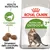 Royal Canin Active Life Outdoor 7+, complesso vitalità, dimensioni della crocchetta adattate, immagine di gatto adulto su confezione e tre crocchette visibili.