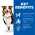 Key Benefits: High-quality protein for lean muscles, Balanced minerals for heart & kidney health, Omega-6s & Vitamin E for beautiful skin & coat. Az angol szöveg a képen szerepel.