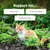 Zesty Paws Cat Urinary Care, pasta