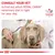 Consult your vet to find out which Royal Canin veterinary diet is right for your dog. Veterinary nutrition advice shown.