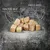 Freeze-dried pure meat treats, high-quality protein, no additives or preservatives, grain-free, well-accepted for cats of all breeds and sizes.