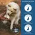 Wolfsbacher Natur Z-Schild snacks para perros