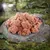 Fresh, raw meat on a stone in a natural forest setting. Background shows a wolf and sunlight through trees.