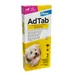 AdTab kauwtabletten voor honden van 2,5 tot 5,5 kg - 1 x 3 Tabletten