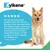 Zylkene Calming Chews for Medium Dogs 10 - 30 kg - 14 Chews Zylkene Calming Chews for Medium Dogs 10 - 30 kg - 14 Chews