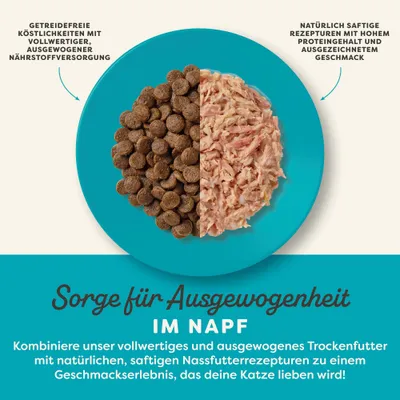 Sparpaket Applaws Großgebinde