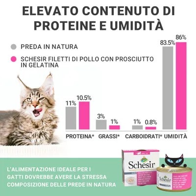 Grafico a barre: confronto tra preda in natura e Schesir filetti di pollo con prosciutto in gelatina per proteina, grassi, carboidrati, umidità. Testo: alimentazione ideale per gatti.