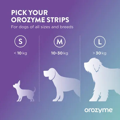 Orozyme Strips Size Selection: S for under 10 kg, M for 10–30 kg, L for over 30 kg. Suitable for dogs of all sizes and breeds. Orozyme Strips Size Selection: S for under 10 kg, M for 10–30 kg, L for over 30 kg. Suitable for dogs of all sizes and breeds.