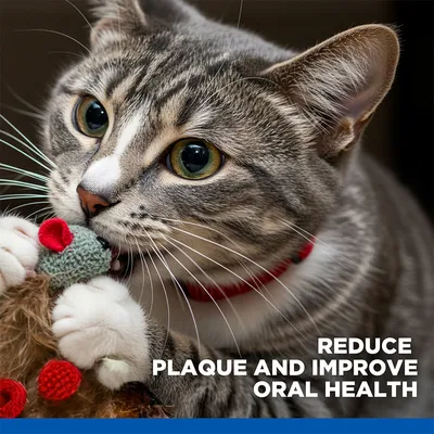 Hill's Science Plan Oral Care Adult 1+ Chicken