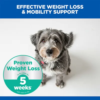 Hill's Science Plan Perfect Weight & Active Mobility Adult 1+ Medium with Chicken